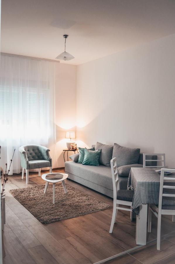 Apartman Lena Banja Koviljača Dış mekan fotoğraf